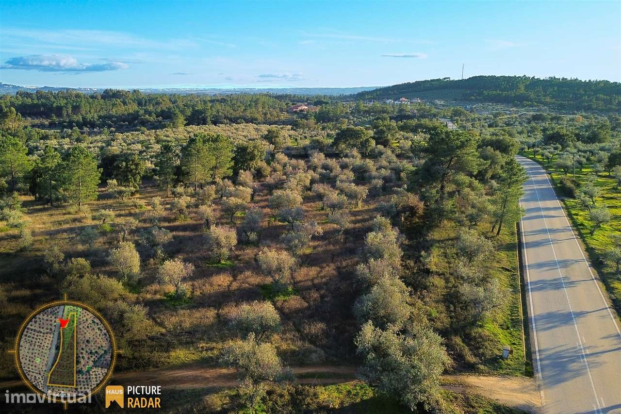 Terreno Plano 6.700m² c/ Vistas Panorâmicas – Salgueiro do Campo-9