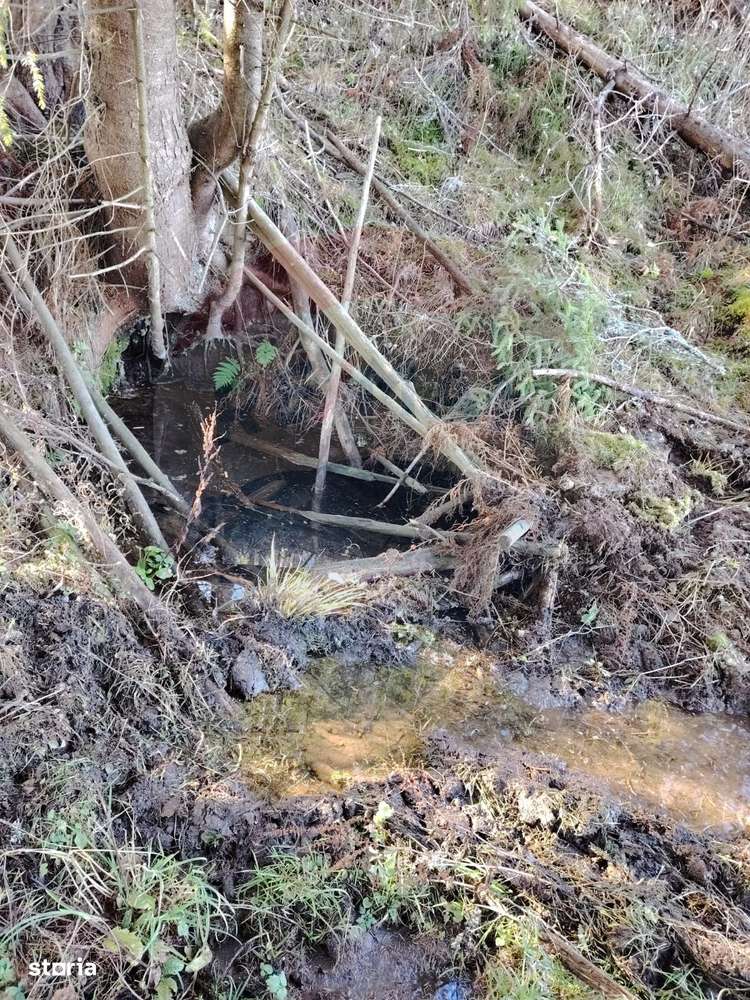 Teren 31,461mp Panaci / Prelungirea Ialovita-13