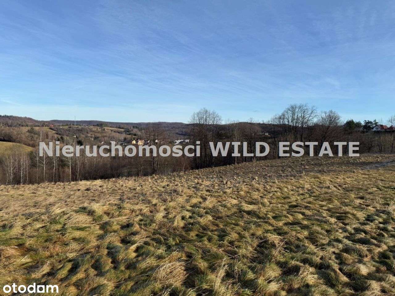 Działka, 3 402 m², Berezka-3