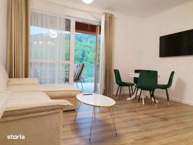 Apartament 2 camere cu vedere la munte - Green future Sinaia - Imagine principală: 4/8