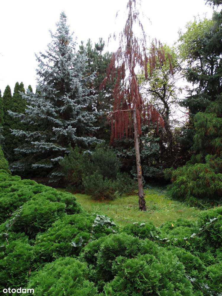 Działka Ursus Czechowice, aktualne WZ ! - Pełny obrazek: 4/4