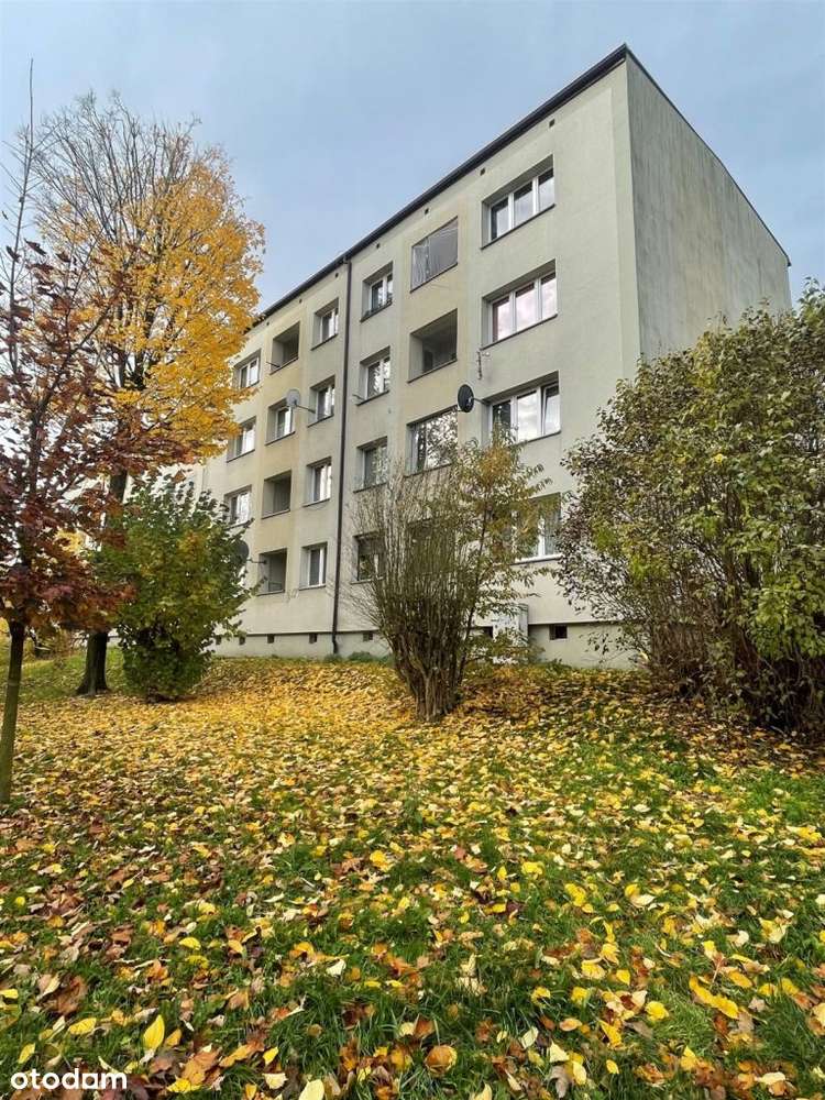 Zaprojektuj swoje wymarzone mieszkanie od podstaw!-0