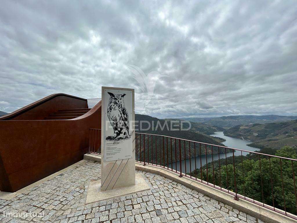 CASA EM BANDA - DOURO VINHATEIRO - Grande imagem: 2/12