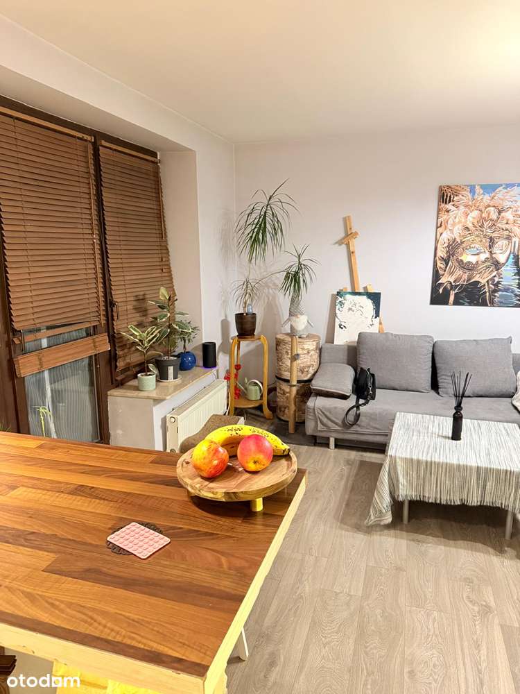 Idealne pierwsze mieszkanie lub pewna inwestycja - w super cenie !-7