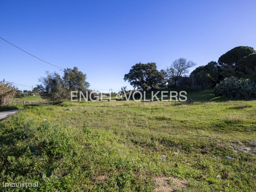 Terreno Agrícola com parcela destacada para construção - Grande imagem: 1/25