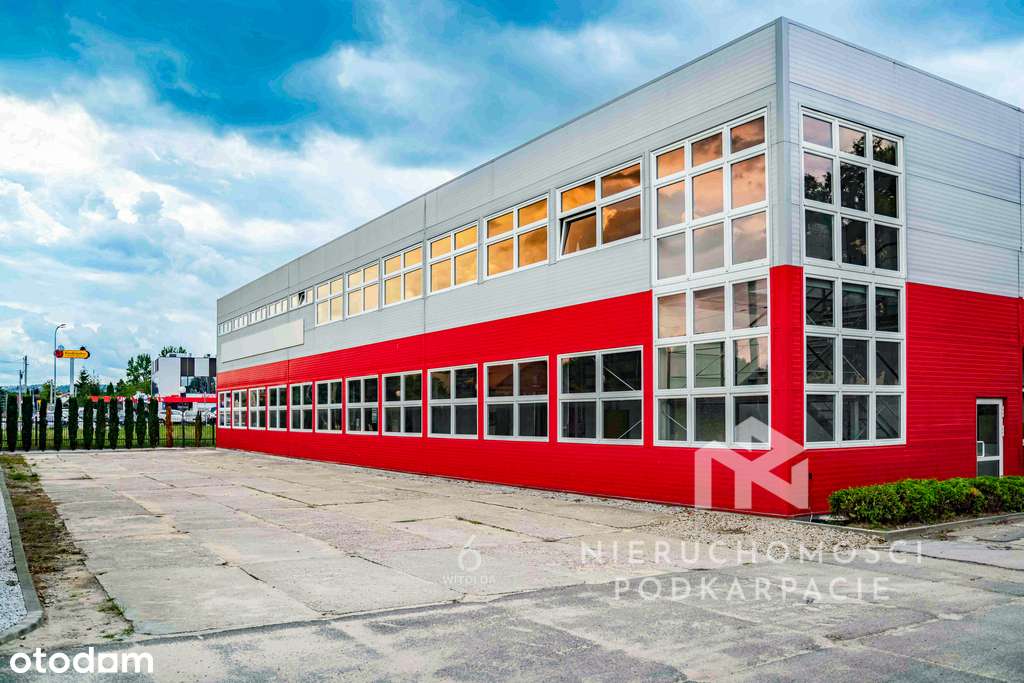 Hala produkcyjno-magazynowa 927 m² - Pełny obrazek: 5/20