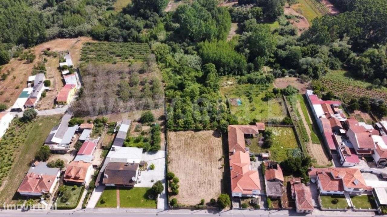 Terreno Amoreira da Gândara, Paredes do Bairro e Ancas | ER - Grande imagem: 5/5