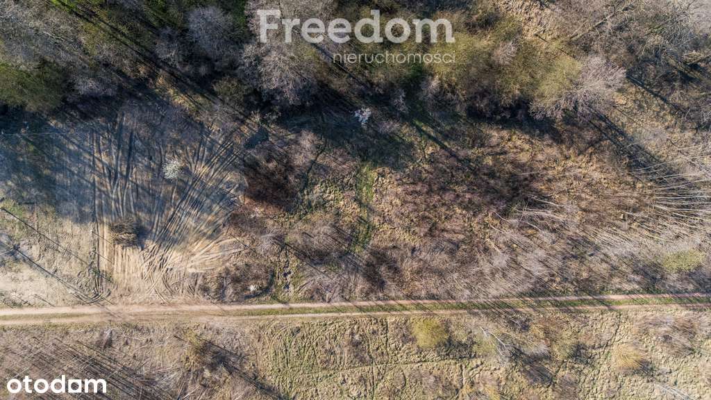 Niedroga działka 11 km od Piaseczna - Pełny obrazek: 5/20