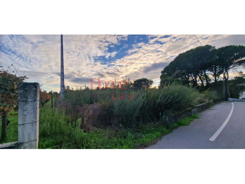 Terreno Rústico com viabilidade de construção, Silgueiros. Viseu - Grande imagem: 2/14