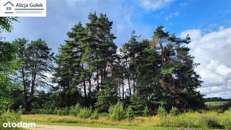 Biały Bór - Kaliska - działka budowlana o pow. 1.2-1