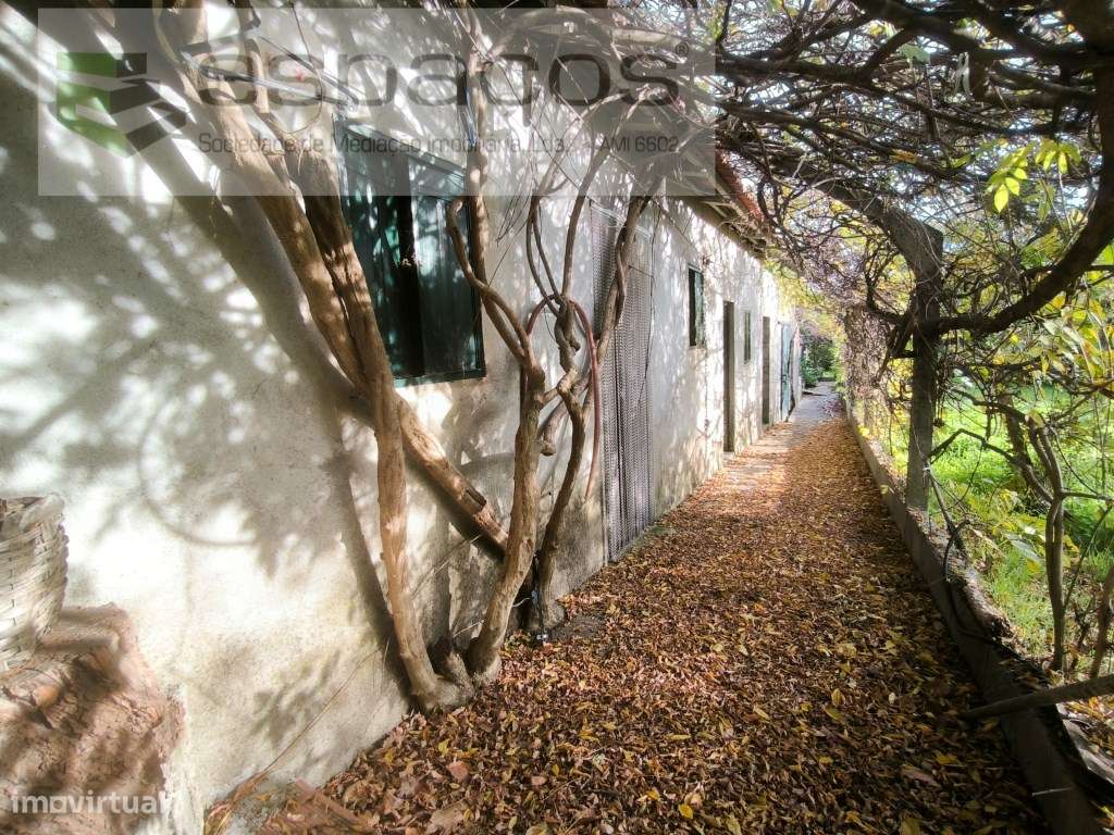 Moradia com quintal e vários anexos - Casal de Águas de Verão - Grande imagem: 4/17