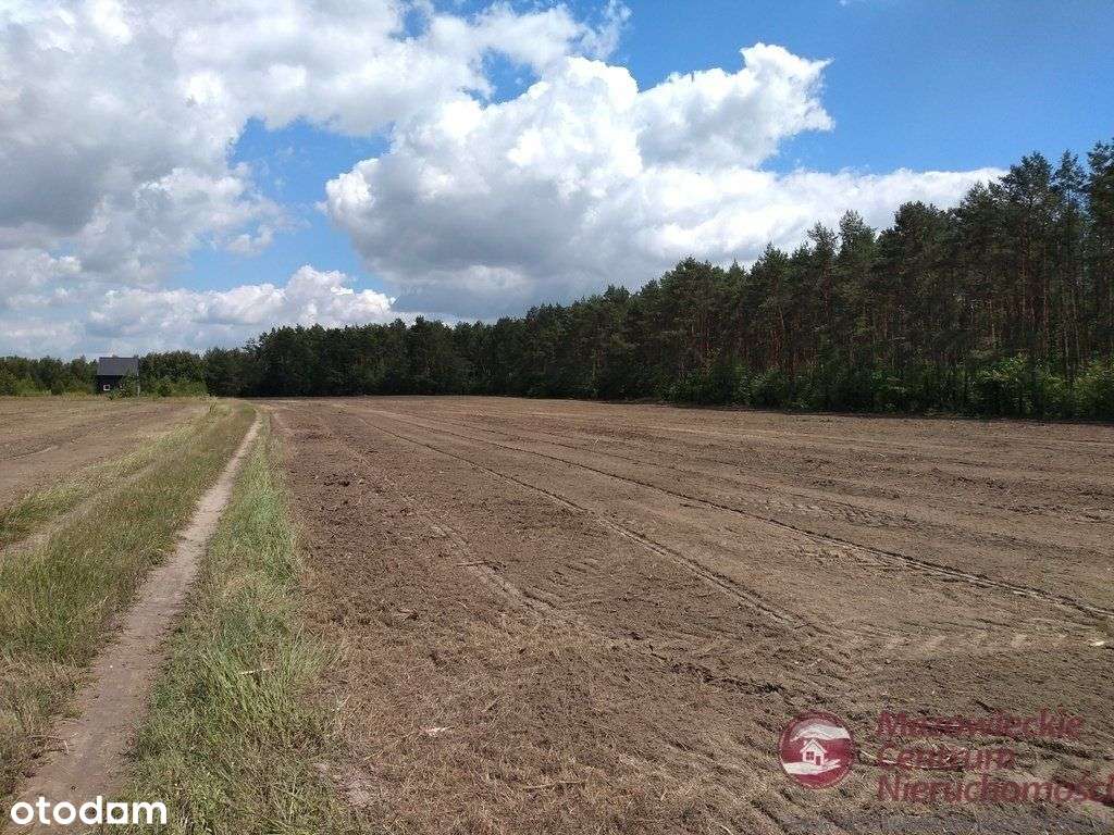 Działka z możliwością uzyskania warunków zabudowy - Pełny obrazek: 3/5