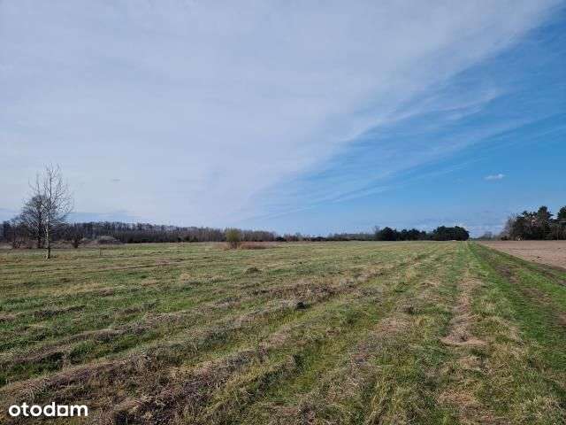 Sprzedaż 4 działek po 3000 m2-5