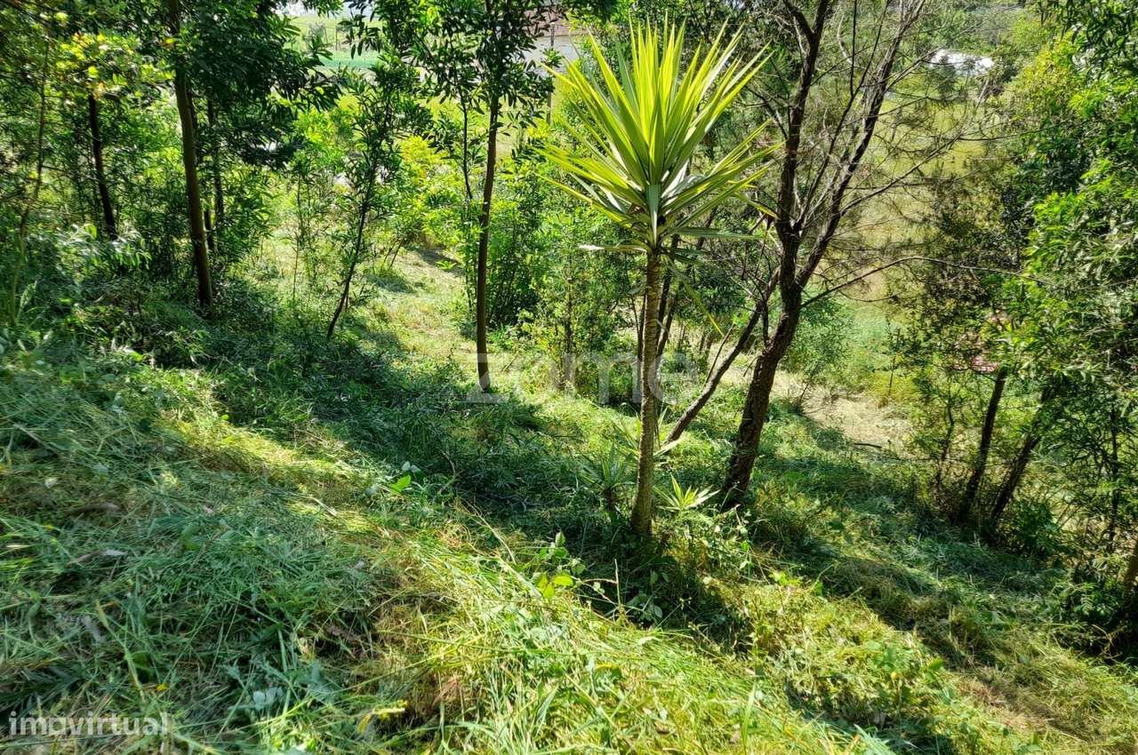 Terreno Urbanizável na Rua do Sá, Esporões-0