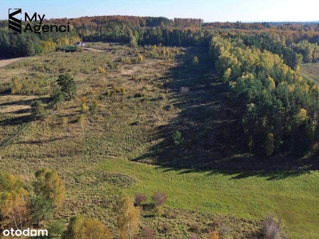 Błotnia - działka budowlana na sprzedaż - Pełny obrazek: 5/18