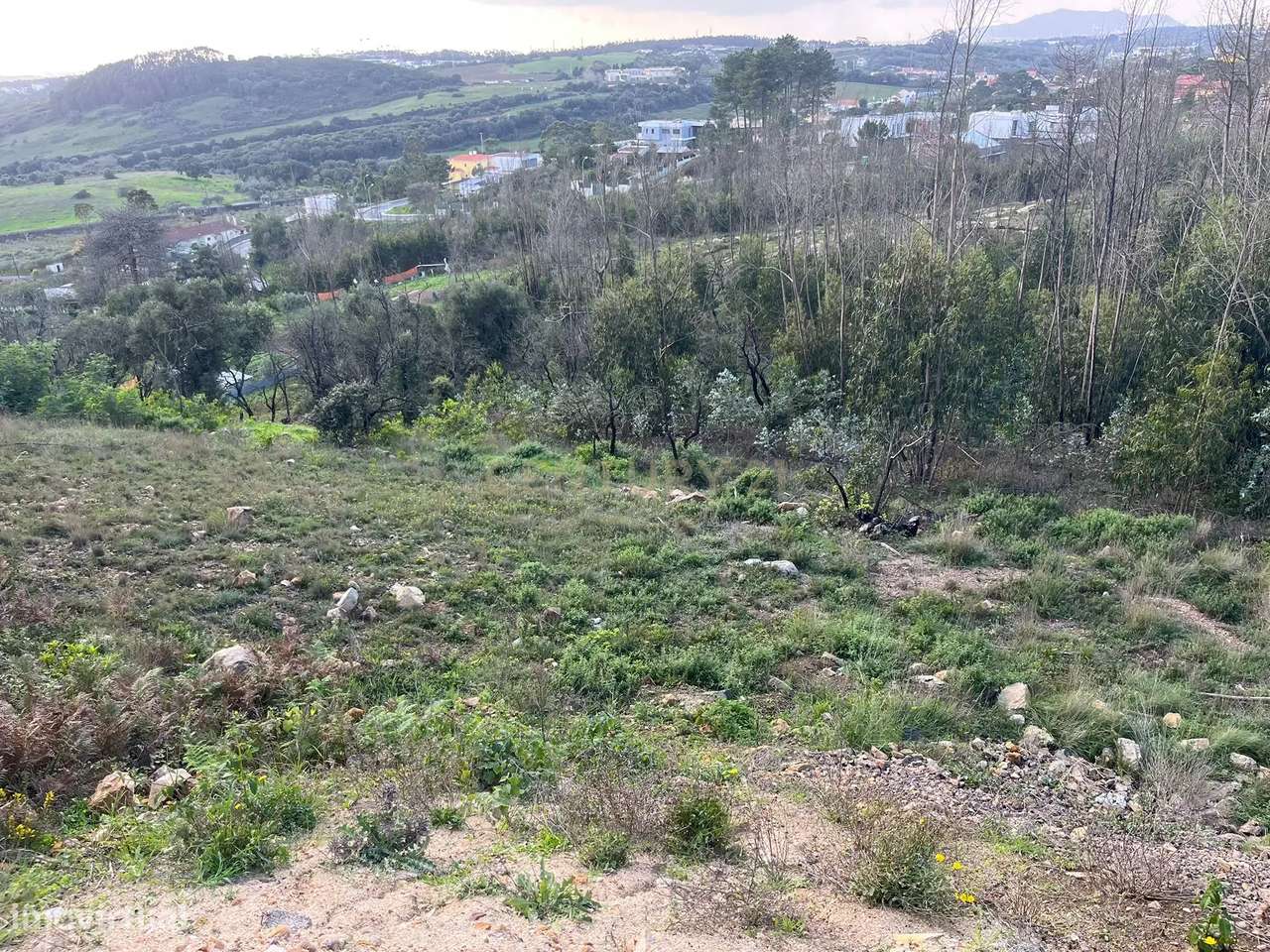 Terreno Urbano para Construção em Almargem do Bispo - Grande imagem: 4/7