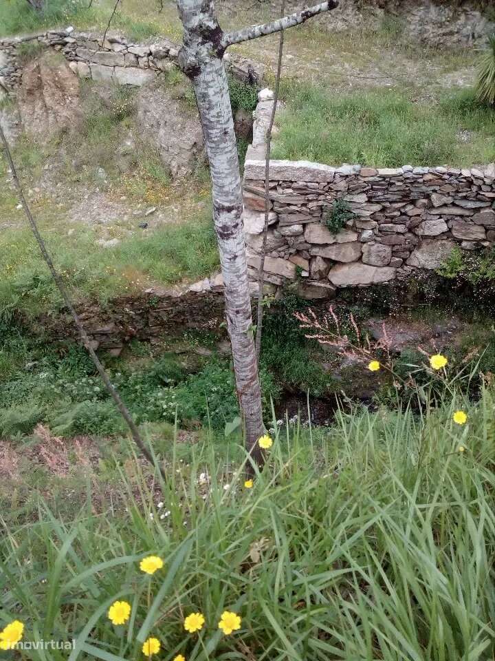 Terreno em Espiunca, Arouca, ideal para investimento turístico - Grande imagem: 4/11
