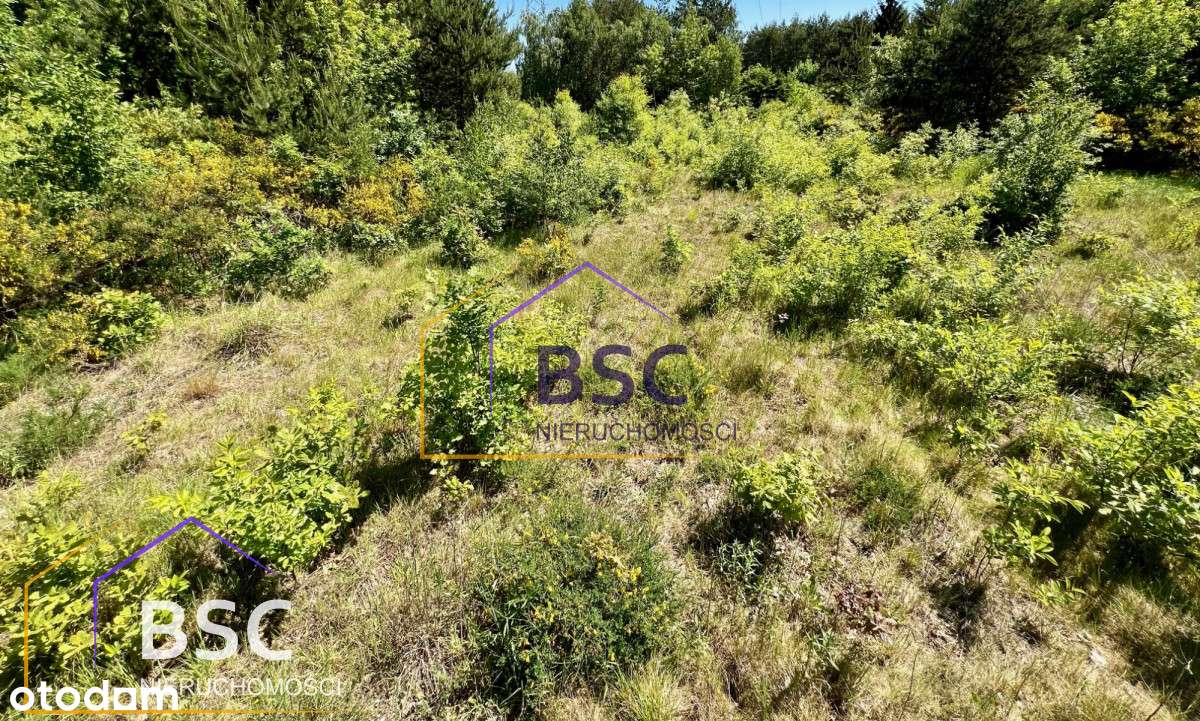 Duża i tania działka w gminie Serock-4