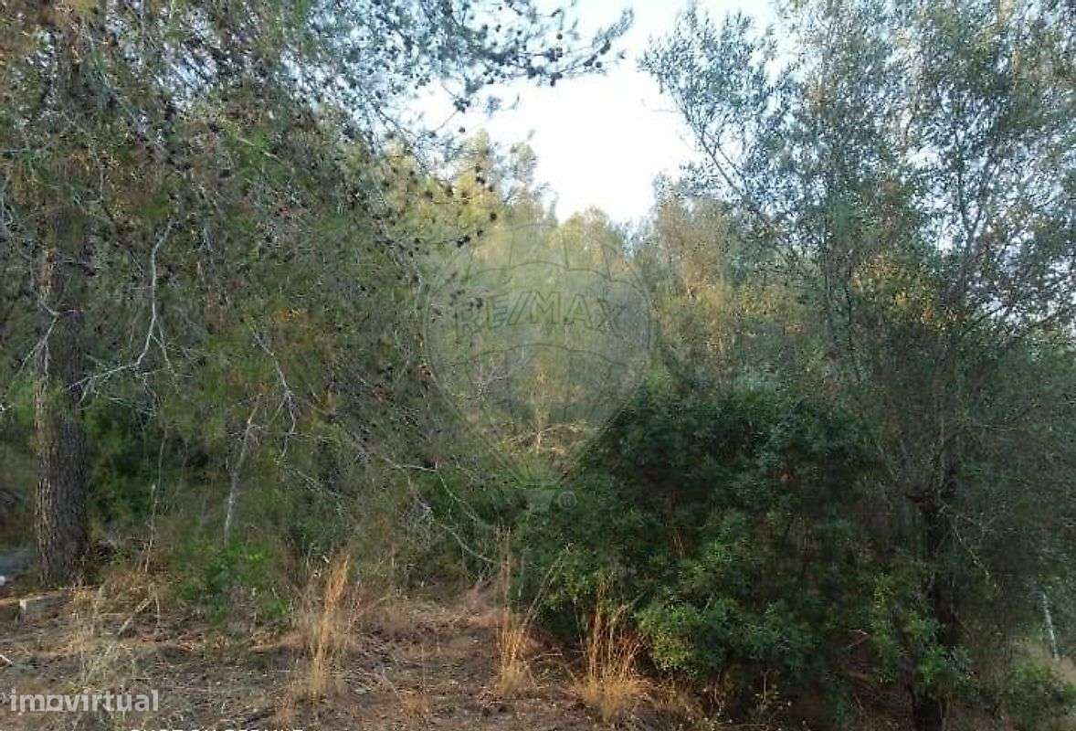 Terreno  para venda - Grande imagem: 5/7