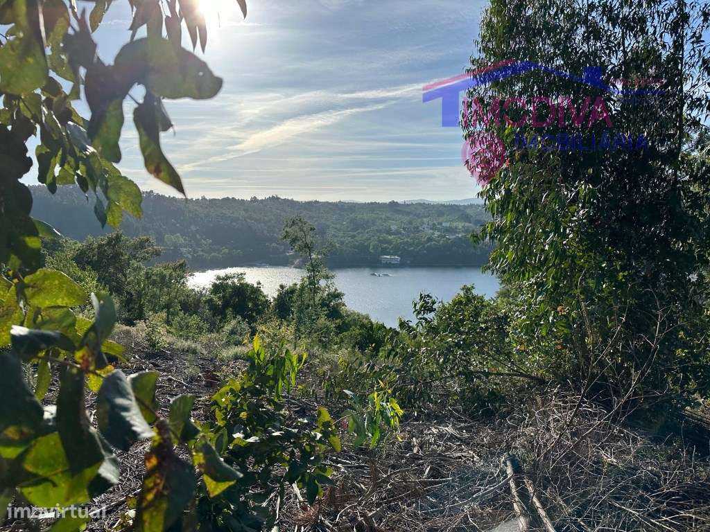 Terreno com 13890m2 e ruina com vista para a Barragem do Cabril - Grande imagem: 5/60