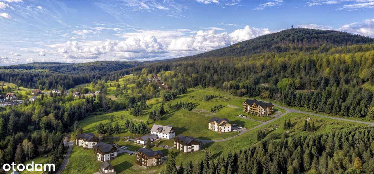 2-pokojowe mieszkanie 36m2 Bez Pośredników - Pełny obrazek: 3/7