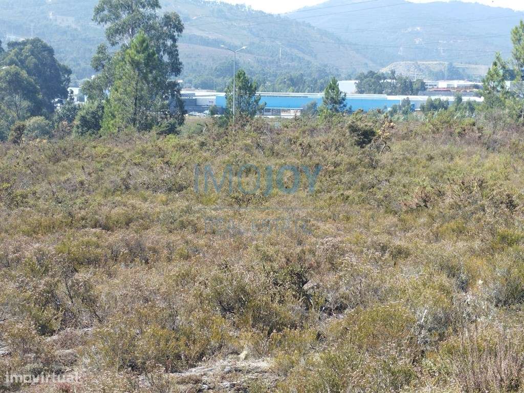 Terreno em Campo Sobrado, Valongo - Grande imagem: 2/16