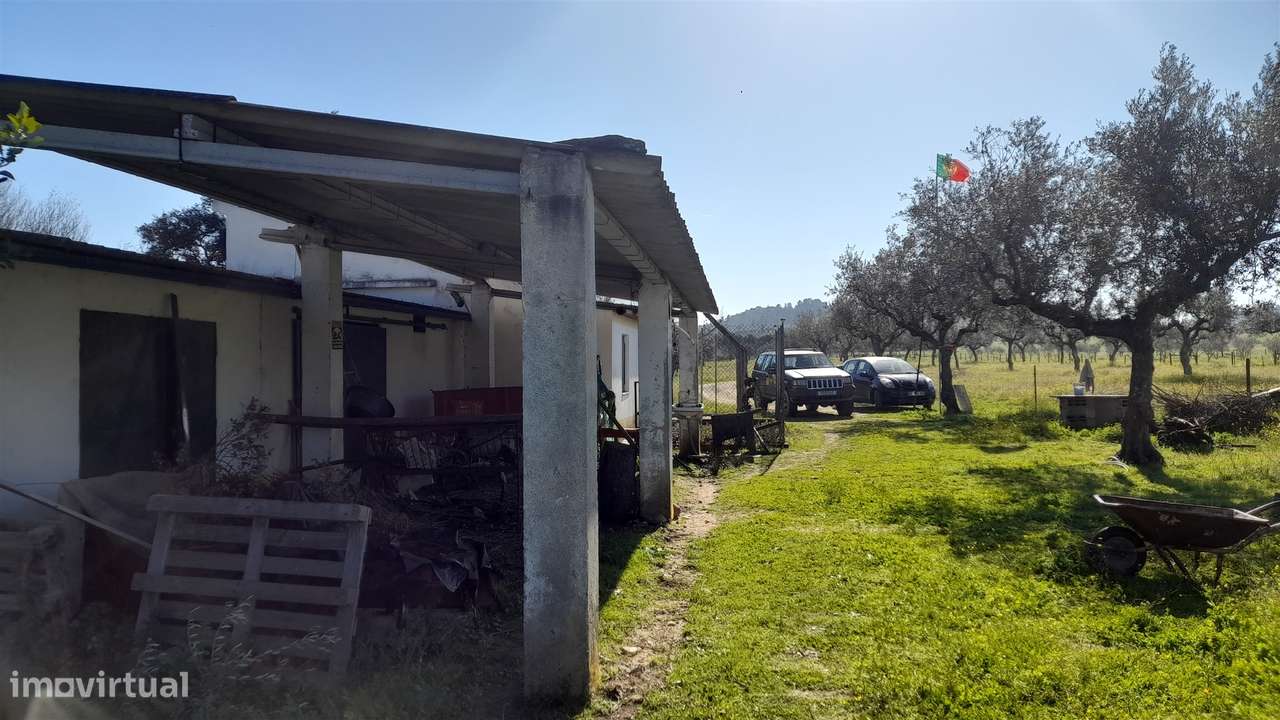 Quinta T0 Venda em Vila Velha de Ródão,Vila Velha de Rodão-10