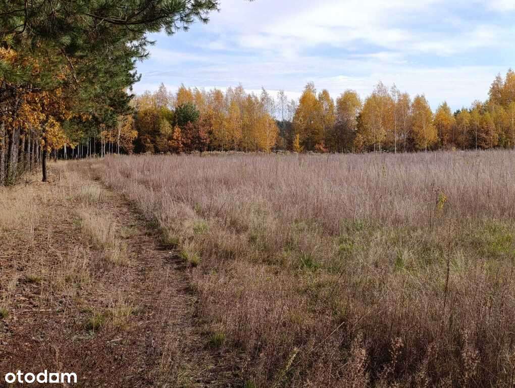Działka budowlana w Dąbrówce Wyłazy, przy lesie-9