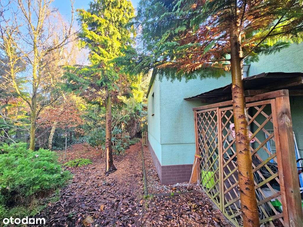 Na sprzedaż parterowy dom/bliźniak/Pawłowice-11