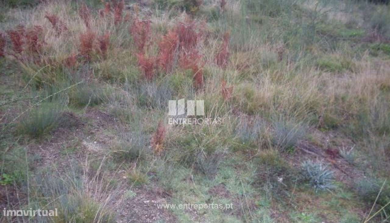 Venda Lote, Grilo, Baião - Grande imagem: 3/30