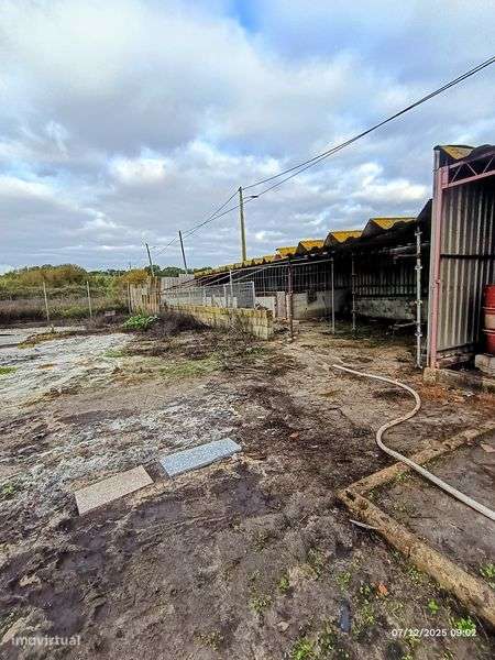 Oportunidade Única:  Terreno Rústico com potencial na Gâmbia!! - Grande imagem: 5/8