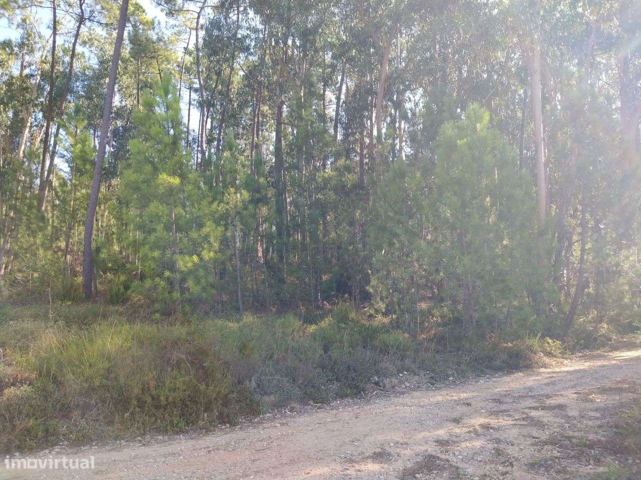 Terreno Para Construção - Grande imagem: 5/5