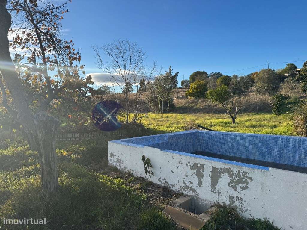 Monte Alentejano de 4 Hectares na região de Cabeção / Mora - Privac... - Grande imagem: 3/30