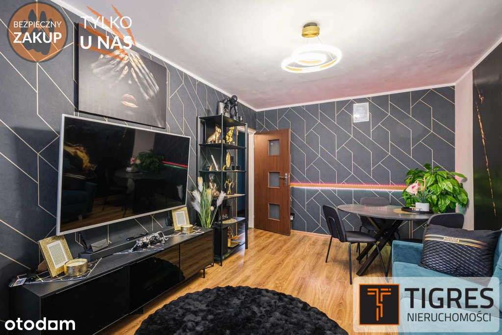 Unikalne / gotowe do wprowadzenia / zadbane - Pełny obrazek: 4/12