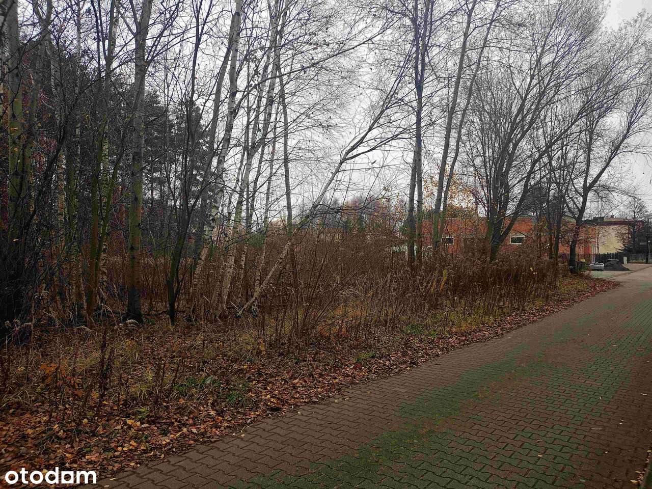 Działka usługowo-budowlana z przeznaczeniem na parking lub budowę domu-10