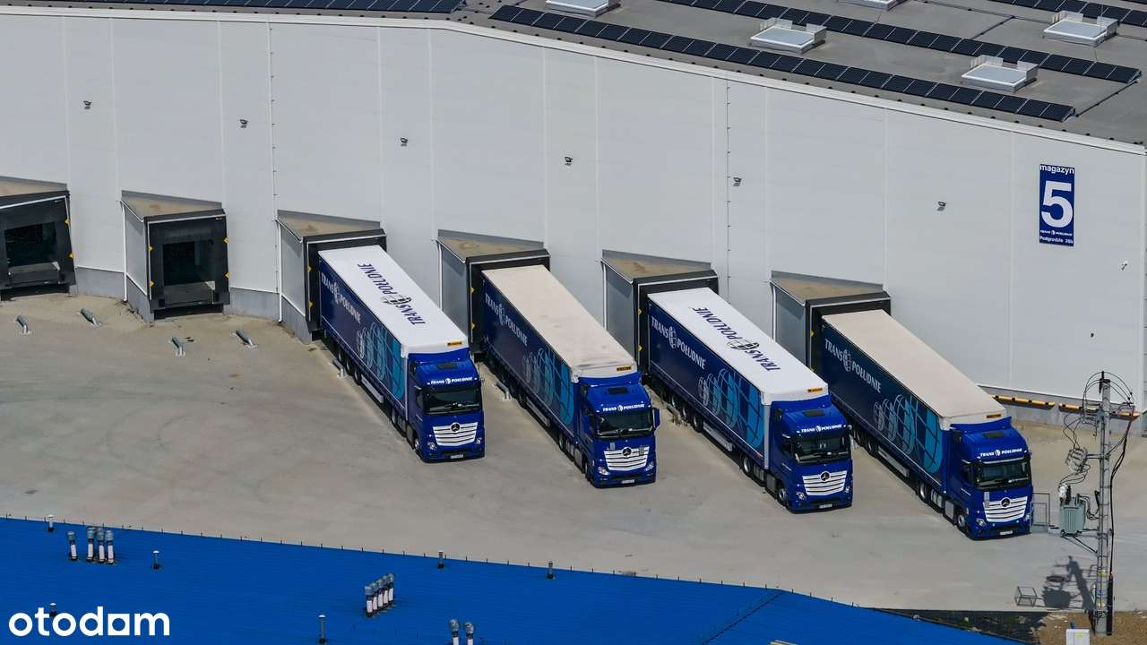 6 Hal Magazynowych | Różne Kubatury | Dostępne od Zaraz - Pełny obrazek: 4/20