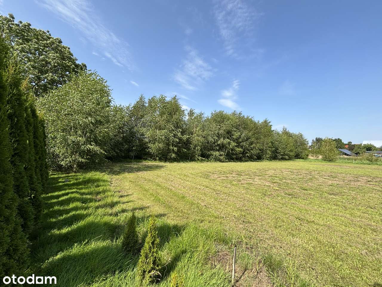 Sprzedam działkę budowlaną 3190 m² z pozwoleniem na budowę – Raciąż - Pełny obrazek: 5/7