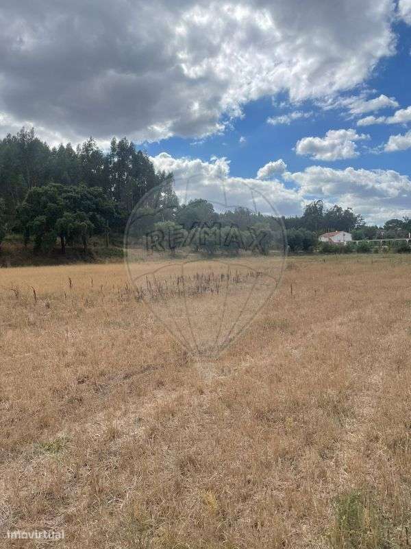 Terreno  para venda - Grande imagem: 5/15