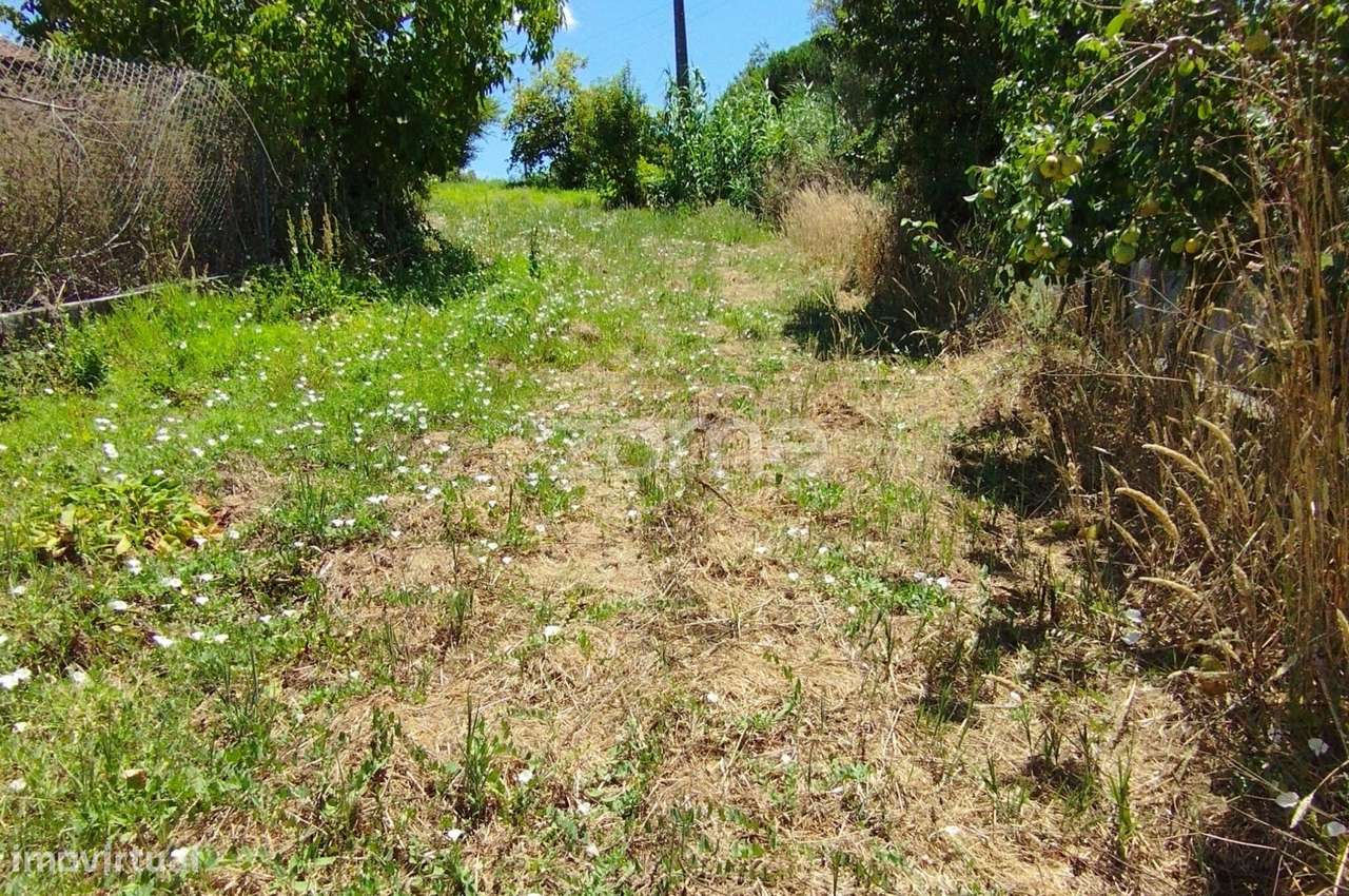 Terreno Almagreira-7