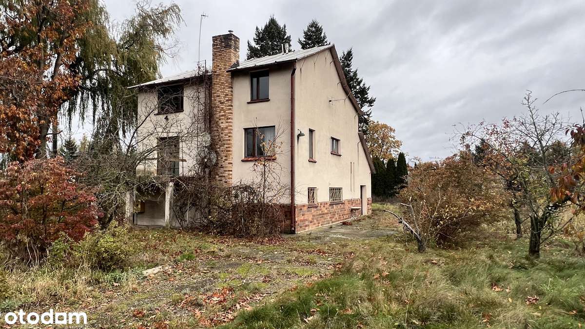 Działka narożnikowa z potencjałem w pobliżu lasu-4