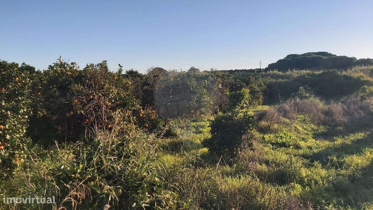 Terreno  para venda - Grande imagem: 4/7