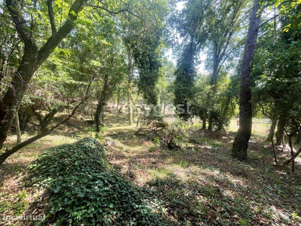 Terreno destinado a construção, localizado em Coutos de Viseu - Grande imagem: 4/22