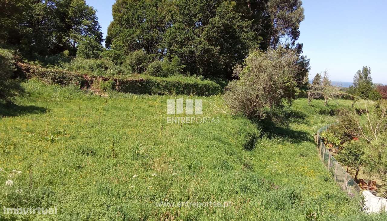 Terreno para venda, Cristelo, Caminha - Grande imagem: 3/14