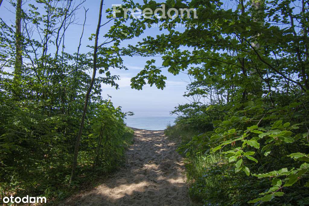 Dębina, Apartament 2 pokoje, Wyposażony, 33m2 - Pełny obrazek: 4/17