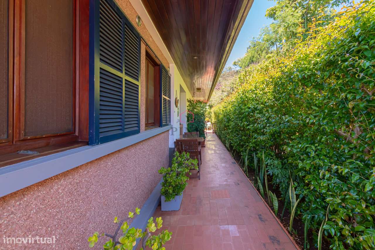 VENDE - SE   - Vila Gama - Apartamentos Turísticos  - Machico - Grande imagem: 5/32