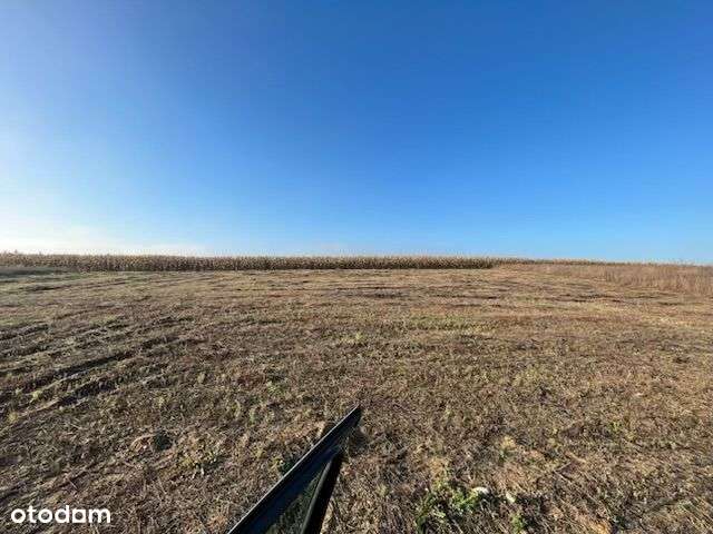 Działka Budowlana Rybno Wielkie - MEDIA - 1219 m² - Pełny obrazek: 5/5