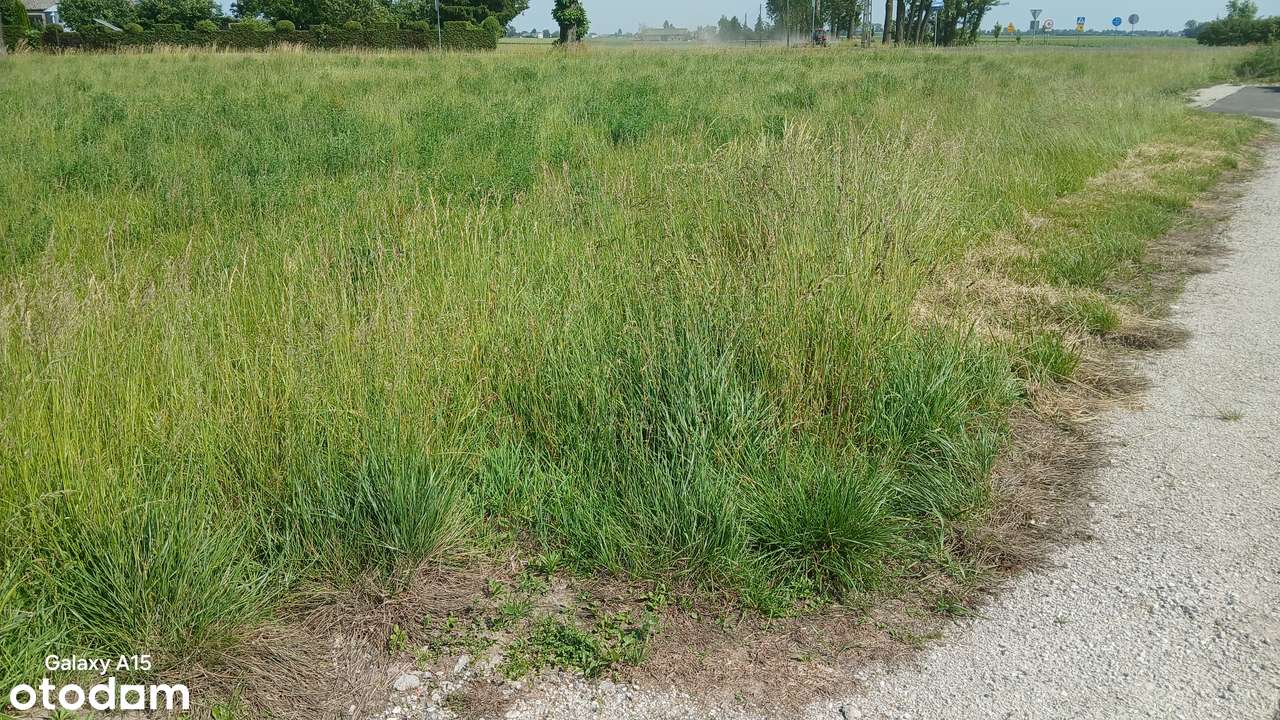 Działka budowlana o powierzchni 1772m2 - Pełny obrazek: 5/6