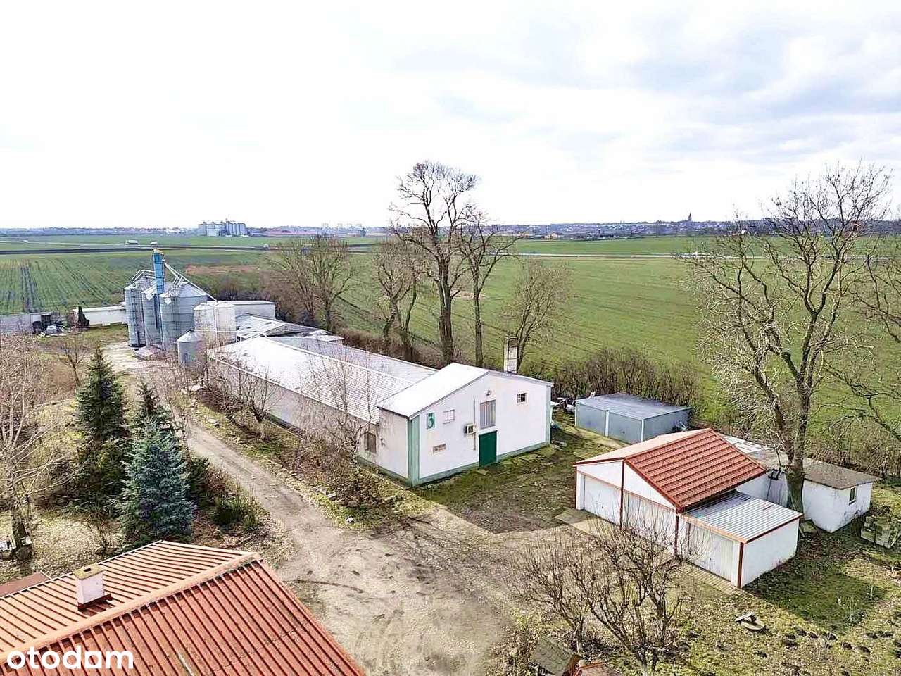 Ferma drobiu (5 budynków)+2 domy/ 2,77ha/kurniki - Pełny obrazek: 5/20