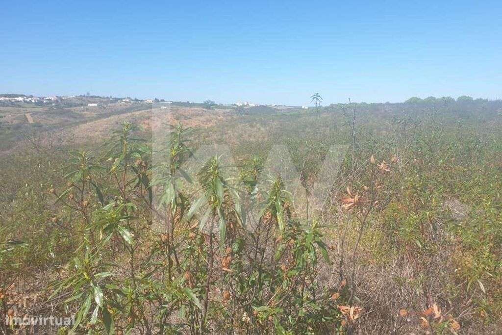 Terreno rústico para venda em Castro Marim- Azinhal - Grande imagem: 4/10