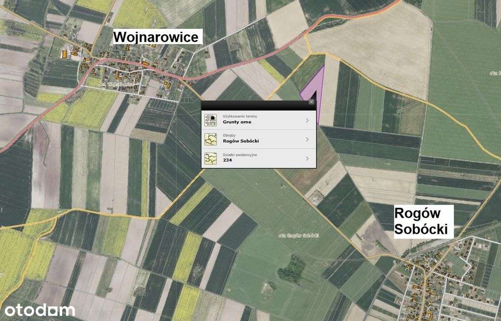 Działka rolna 3,16ha w Rogowie Sobóckim - trójkąt-3